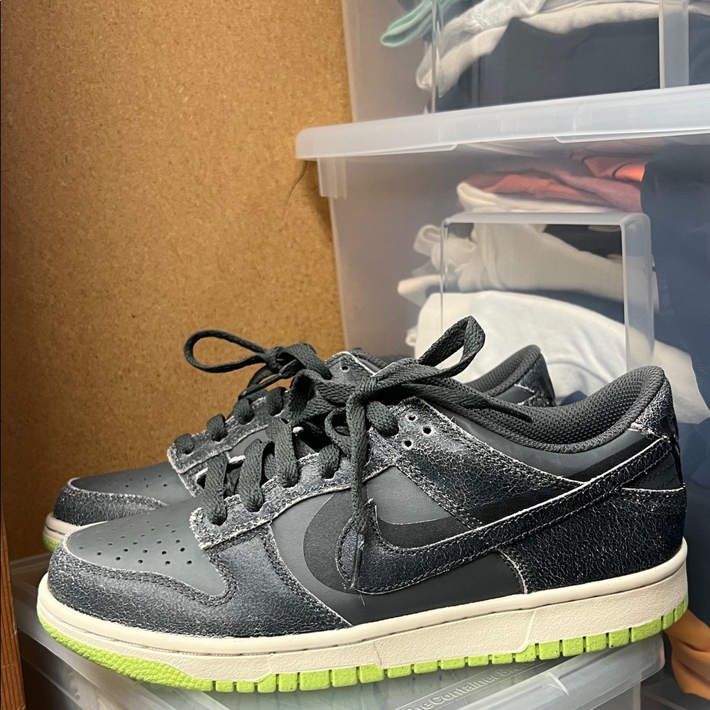 Nike Dunks Low